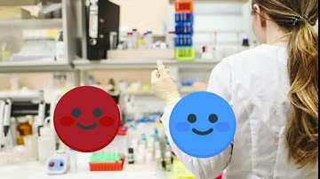 The end of adobe flash part 3