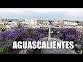 Aguascalientes 2020 | La Ciudad Hidrocálida