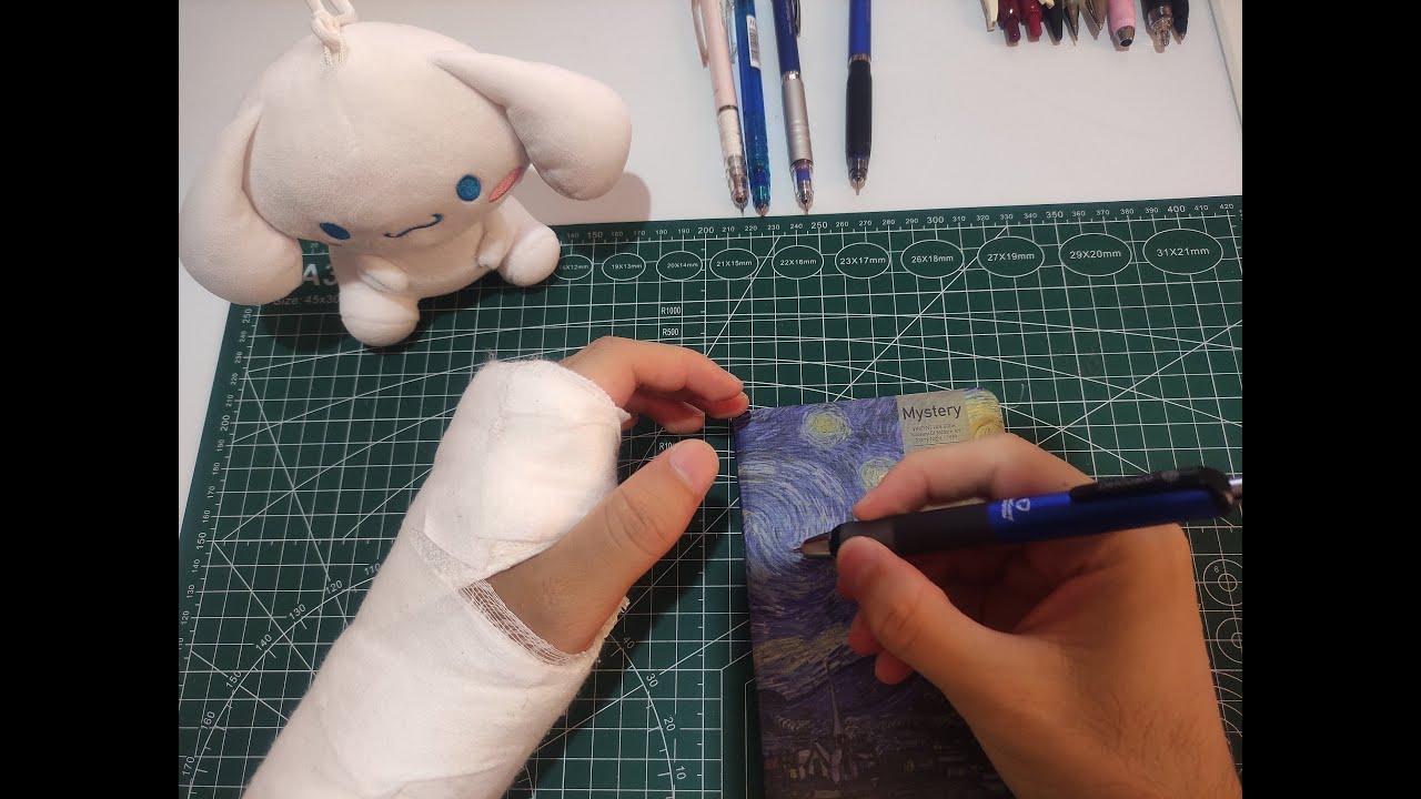 Zebra DelGuard Type-GR Uçlu Kalem İncelemesi