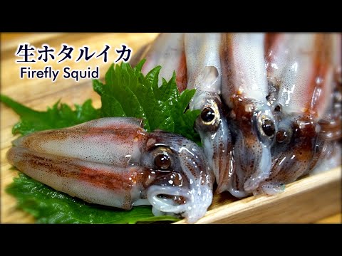 ホタルイカの【下処理方法】寄生虫を取り除いて生で食べられる方法も紹介!【冷凍温度と日数は概要欄を参照ください】