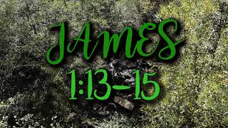 A Quiet Walk Through... James 1:13-15