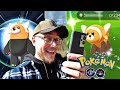 COMMUNITY DAY NA SHINY STUFFULA W POKEMON GO !