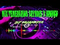 MIX TEMERARIOS BRYNDIS Y BRONCO