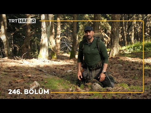 Doğadaki İnsan 246. Bölüm