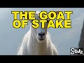 THE GOAT OF CODES 🐐 Stake.com Bonus Code BSP 200% Up To $1000 2026