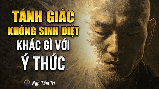 TÁNH GIÁC KHÔNG SINH DIỆT: Khác Gì Với Ý Thức | Ngộ Tâm Trí