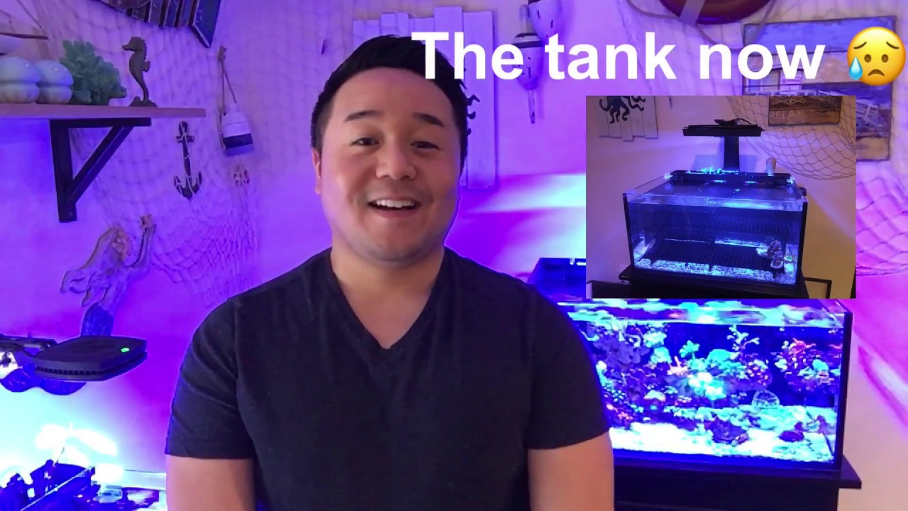 mighty blog Ep.10 - Final Update of the IM25 Lagoon