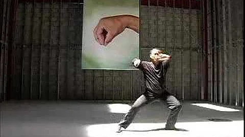 Chen Taiji Master Ren Guang Yi - Compact Cannon Fi...