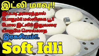 எந்த அரிசியா இருந்தாலும்! இட்லி! Softa 🤔 இருக்க யாரும் சொல்லாத இரகசியம்! 🤫 Soft Idli Recipe in Tamil