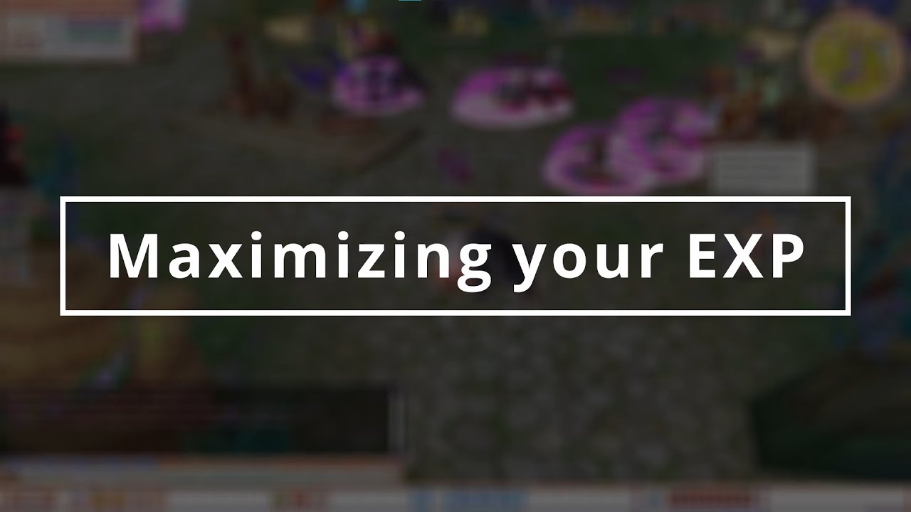 Maximizing your EXP in Entropia Flyff