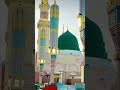Naat e sarkar#youtubeshorts#shorts#ytshorts#viral#beautiful#youtubevideos#islamic#islam#viral#video