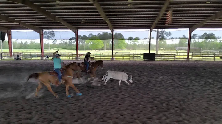 Hal Wiley and Bruiser - 5/4/15