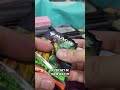 Teenage Mutant ninja Turtles Play booster opening magic cards scambled potato mtg #magicthegathering