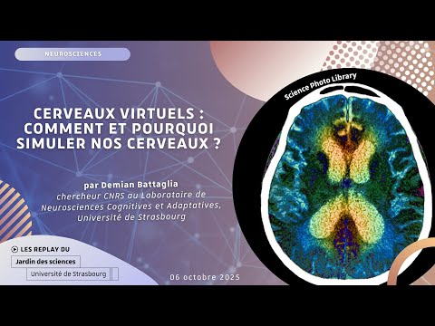 Cerveaux Virtuels Comment Et Pourquoi Simuler Nos Cerveaux Demian Battaglia 