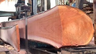 This mahogany wood is ready to be cut at a lumber factory using a bandsaw