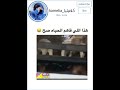 بطنيي