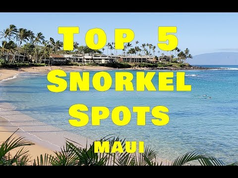 Video: I migliori spot per lo snorkeling di Maui