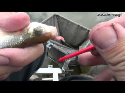 Wideo: Jak Wyjąć Rybę Z Haczyka
