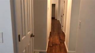 355 St John's Place 1A