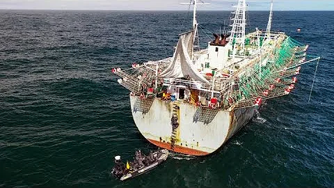 Inside the Investigation of the World's Biggest & Most Brutal Fishing Fleet - DayDayNews