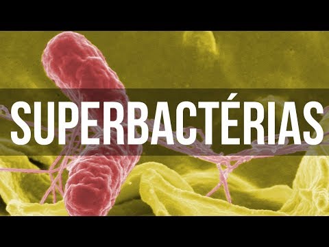 Vídeo: Cientistas Disseram Como Evitar O Aparecimento De Super-bactérias Invulneráveis - Visão Alternativa