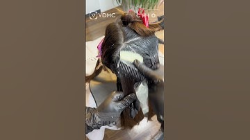 Công thức pha màu nâu tây ánh rêu ChiO mã 911 - 011- 022