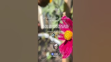 الشيخ عبد الباسط عبد الصمد ❤️(#سورة_النحل  🐝)