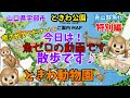 【特別編】【ときわ動物園】【ときわ公園】今日は散歩です❣️