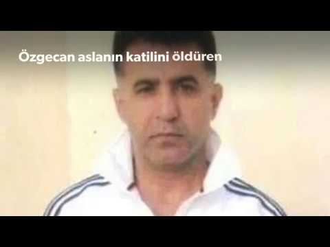 gultekin alan youtube