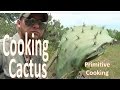 How To Campfire Cook Cactus Pads (Primitive Cooking)