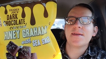 Dark chocolate covered graham crackers with sea salt | trader Joe’s review
