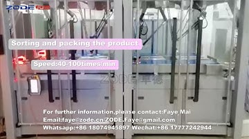 Automatic case packer for Packing of bag case packing machine