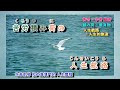 灯台あかり  北島三郎 字義版