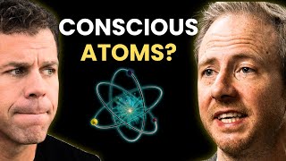 Why Your Brain Doesn't Create Consciousness: It's Always Been There (ft. Philip Goff)