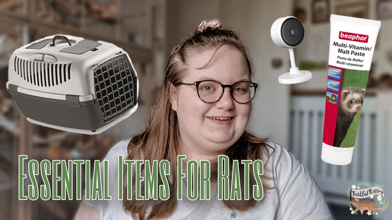 RAT things I can't go WITHOUT | My Rat Keeping Essentials🐀 - YouTube