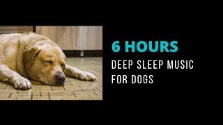 6 Hours Calming music for dogs during storms[No Ads]  Black Screen