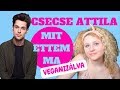 CSECSE ATTILA Mit ettem ma VEGANIZÁLVA