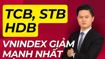 Cổ phiếu TCB, HDB, STB - Nên mua gom không? SỰ THẬT ĐẰNG SAU việc VNINDEX GIẢM MẠNH và HÀNH ĐỘNG