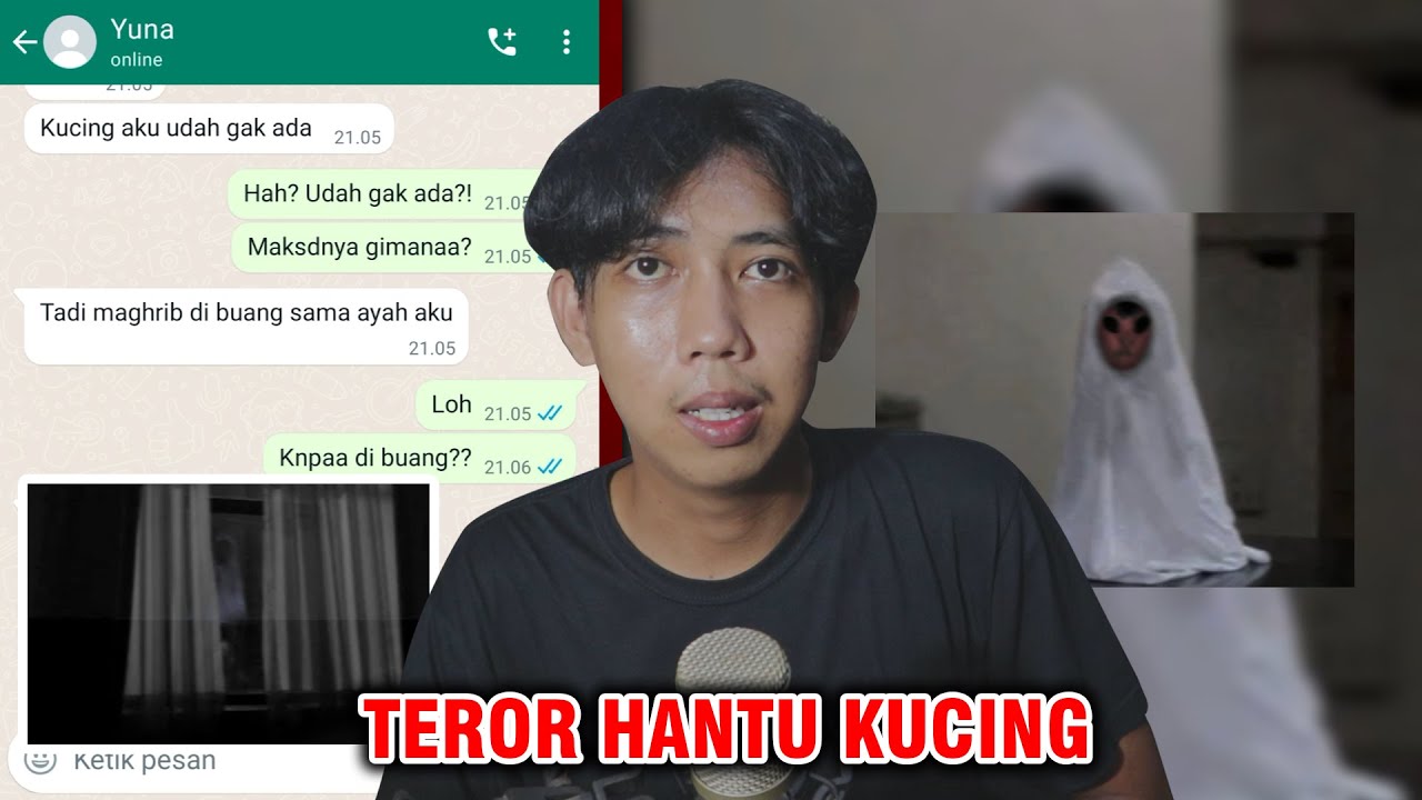 TEROR HANTU KUCING, AYAHKU BUANG KUCING AKU! 😱 | CHAT HISTORY HORROR INDONESIA