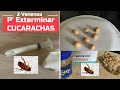 Veneno Para Exterminar Cucarachas, 2 Recetas! 2 Ingredientes!