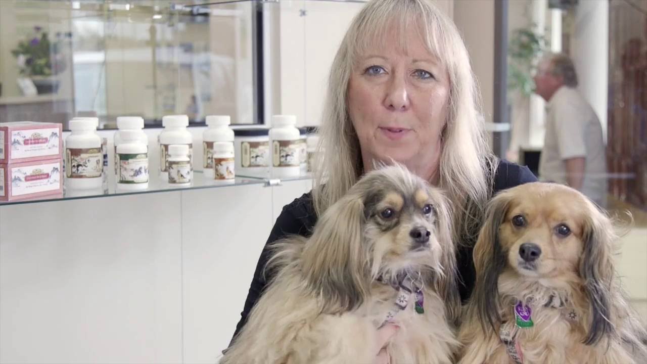 Jacksonville Beach FL Veterinarian Holistic/Chinese Medicine