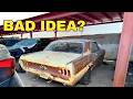 I Drove to Dubai for This Mustang Project—Biggest Mistake Yet?