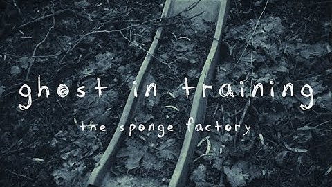 The Sponge Factory - Ghost In Training (Official Video)