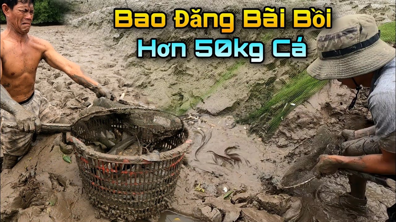 Ужасный Бао Дан поймал косяк сомов весом более 20 кг | GDCG #594