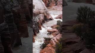 The Physics of Flash Floods: Engineering Zion’s Sandstone#shorts