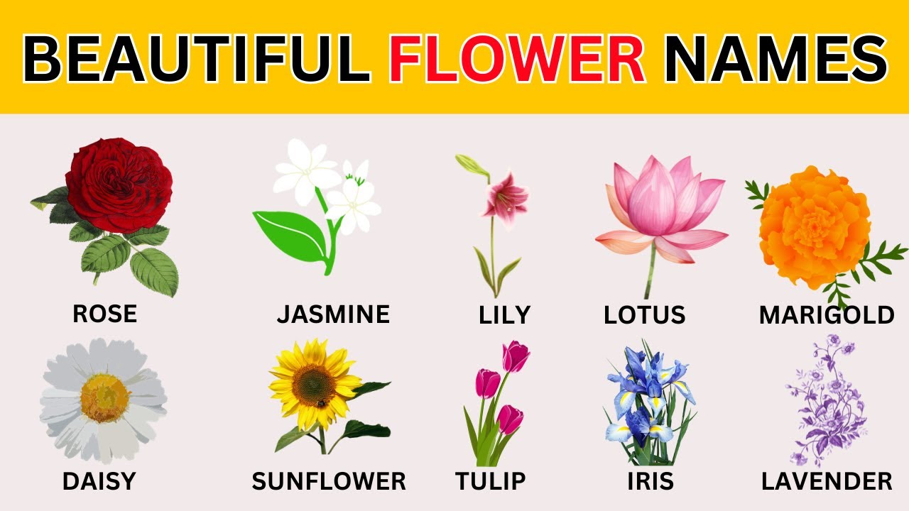 Learn beautiful Flowers Name 🌷🌼 in English|| Flowers Name with pictures ...