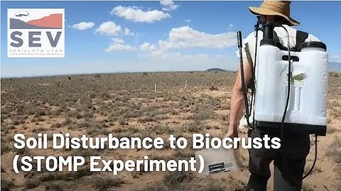 Sevilleta LTER | Soil Disturbance to Biocrusts (STOMP Experiment)