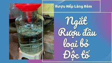 NGẮT RƯỢU ĐẦU - LOẠI BỎ ĐỘC TỐ TRONG RƯỢU