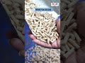 இந்த machine use பண்ணா லாபம் guaranteed! - MDM Pellet making machine #cattle #pelletmakingmachine
