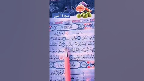 فارس عباد. سورة التين . اللهم اجعل القرآن الكريم ربيع قلوبنا 🌹🌹